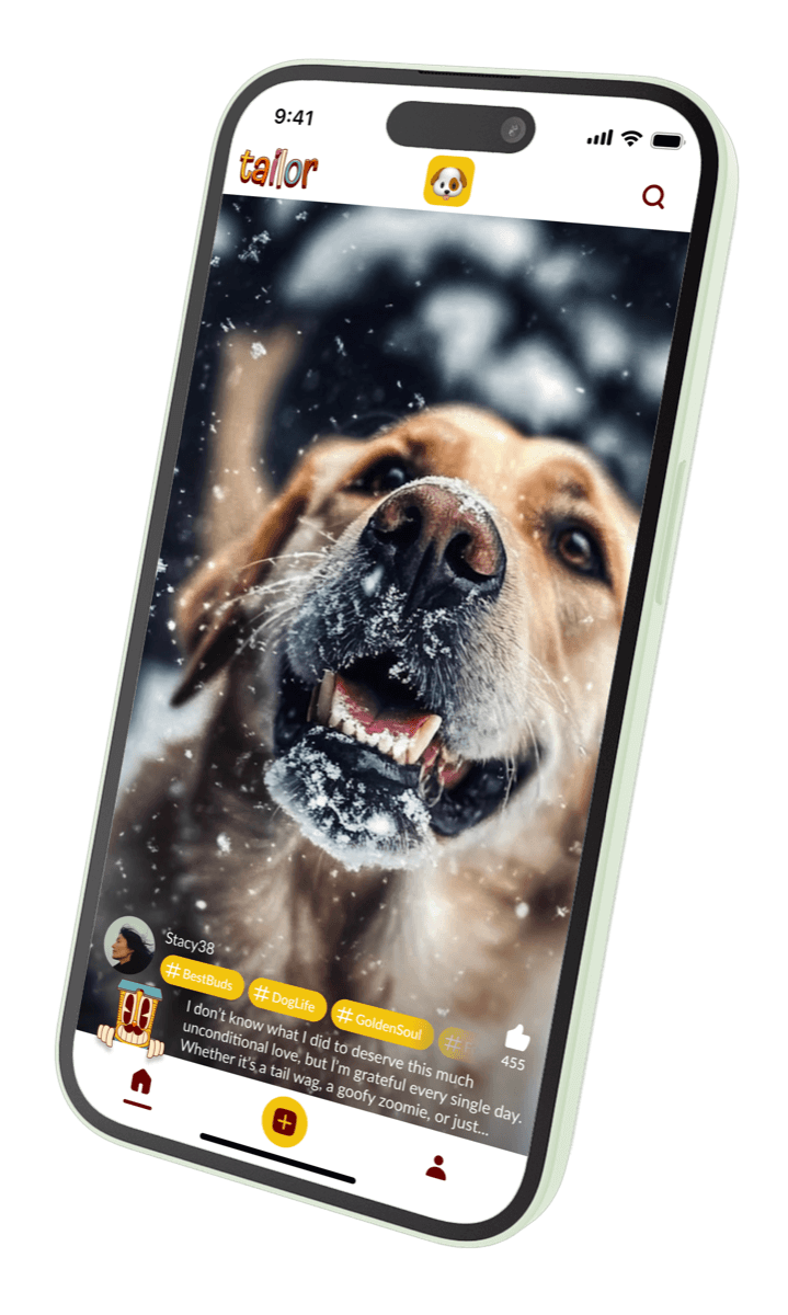 Tailor app phone preview